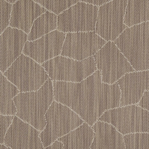 2Tec2 Cracked Earth Arid
