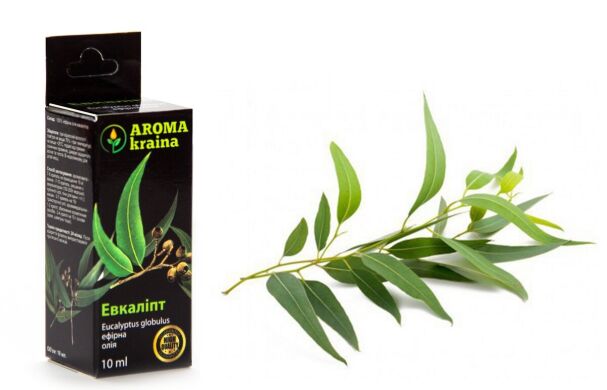Масло эфирное AROMA kraina Эвкалипт, 10 мл