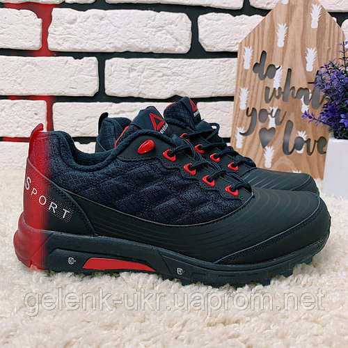 Зимние кроссовки Reebok Sport Termo 2-034 [ 37,38,39,40 ]