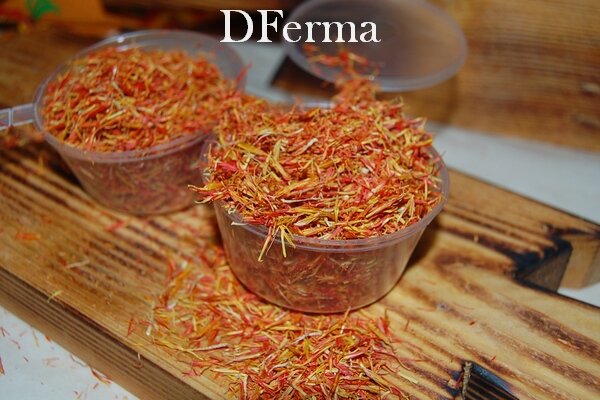 Листья шафрана