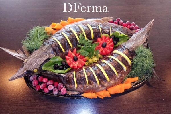 Стерлядь фаршированная грибами, рисом и сыром