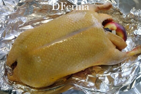 Утка фаршированная яблоками и черносливом (полуфабрикат)