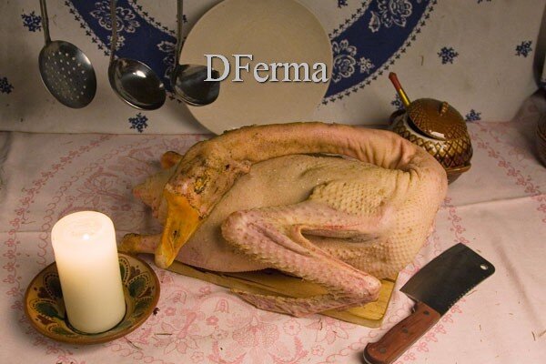 Фермерский Гусь