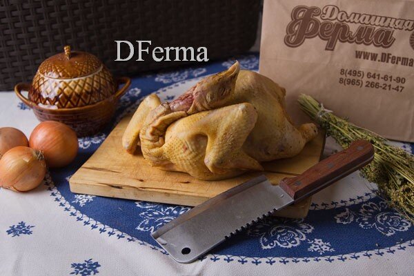 Курица для жарки зерновая