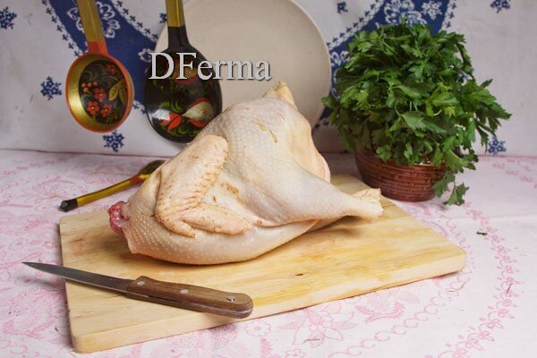 Курица несушка (суповая)