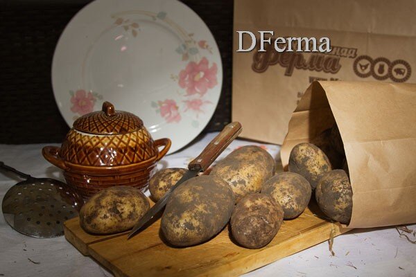 Картофель белый