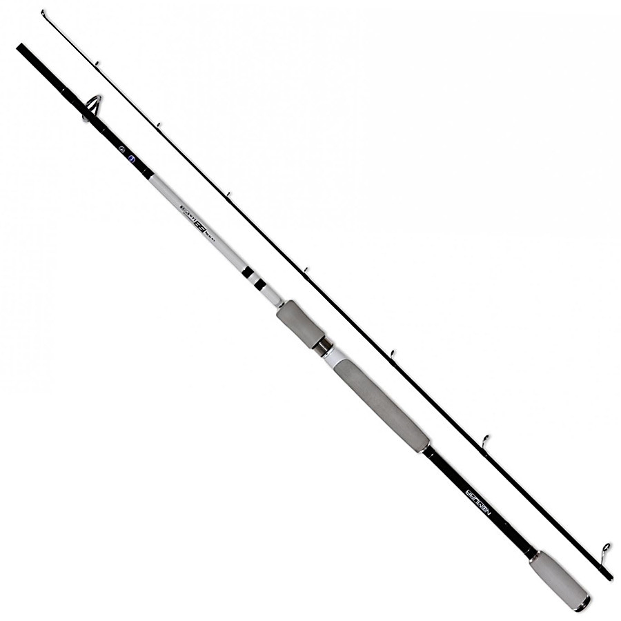 Спиннинг Nomura Isei Professional 2.40м 10-35гр 