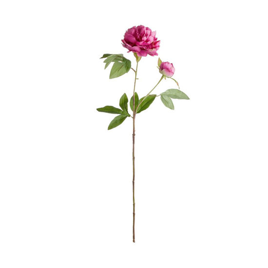 Півонія штучна FLORISTA H:71 см. 10227692