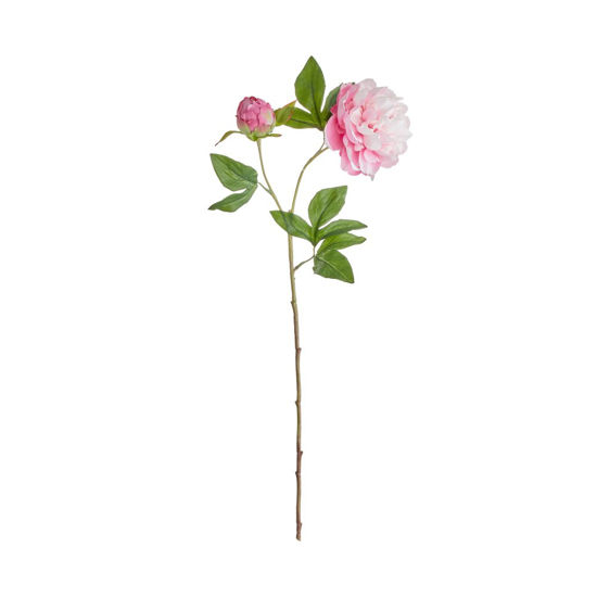 Півонія штучна FLORISTA H:71 см. 10227693
