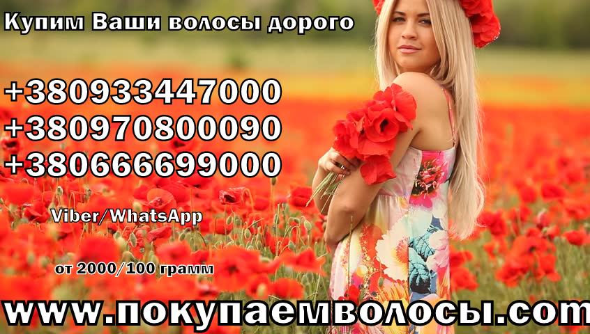 Продать волосы в Чернигове дорого Куплю волосы в Чернигове дорого