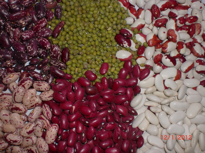 Bulk sell beans from Kyrgyzstan, "Kyrgyzсentrproduсt"