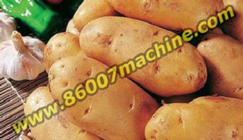 Оборудование для мойки и сушки картофеля